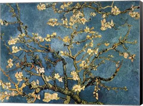 Framed Blossoming Almond Tree, Saint-Remy, c.1890 Print