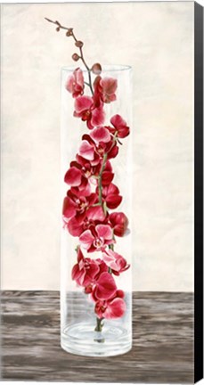 Framed Arrangement of Orchids Print