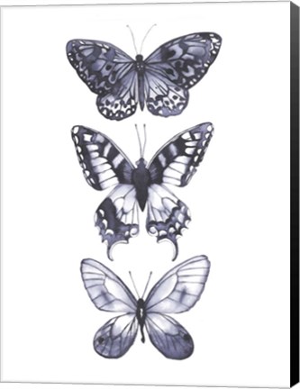 Framed Monochrome Butterflies I Print