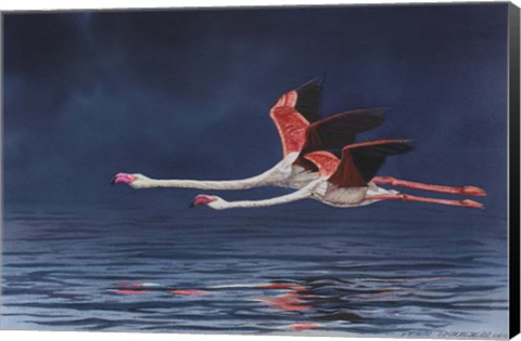 Framed Flying Flamingos Print