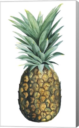 Framed Watercolor Pineapple II Print