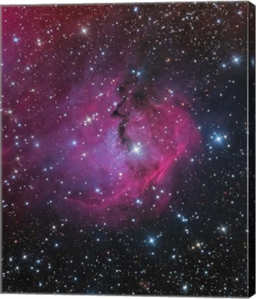 Framed VDB 93 is an emission and reflection Nebula in Canis Major Print