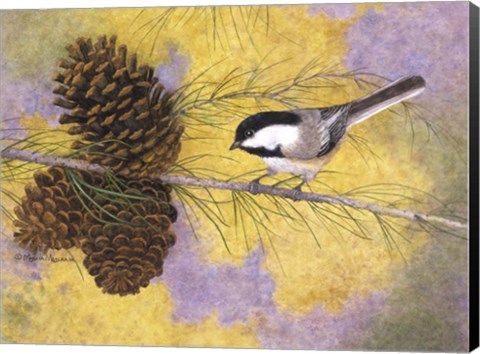 Framed Chickadee in the Pines II Print