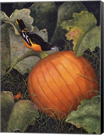 Framed Oriole &amp; Pumpkin Print