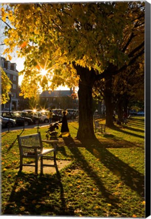 Framed Late afternoon on the Dartmouth College Green,  New Hampshire Print