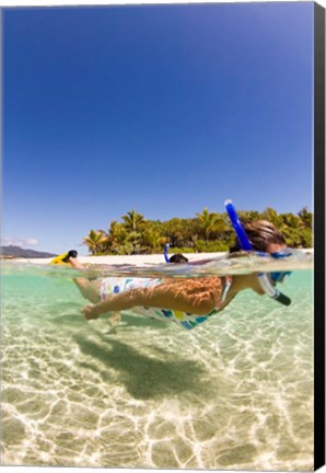 Framed Snorkeling, Beqa Island, Fiji Print