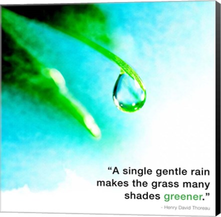 Framed Single Gentle Rain - Henry Thoreau Quote (Droplet) Print
