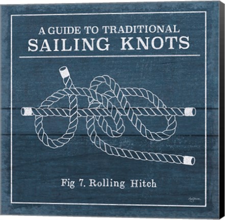 Framed Vintage Sailing Knots VIII Print