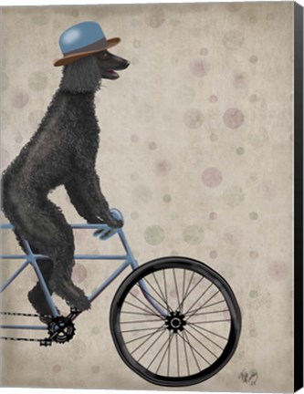 Framed Poodle on Bicycle, Black Print