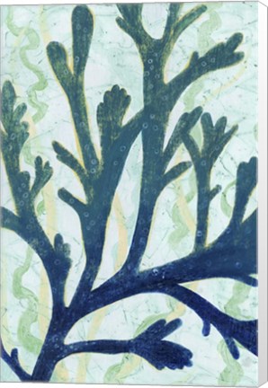 Framed Sea Forest II Print
