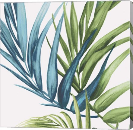 Framed Palm Leaves IV Print