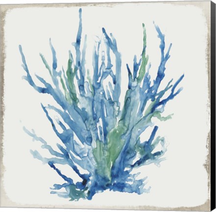 Framed Blue and Green Coral II Print