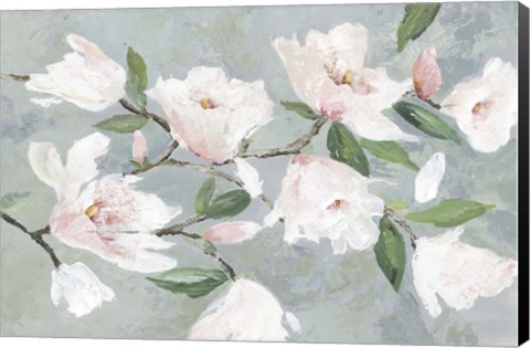 Framed Soft Pink Magnolias Print