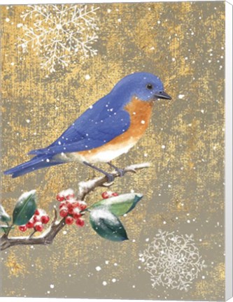 Framed Winter Birds Bluebird Color Print