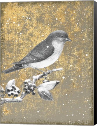 Framed Winter Birds Bluebird Neutral Print