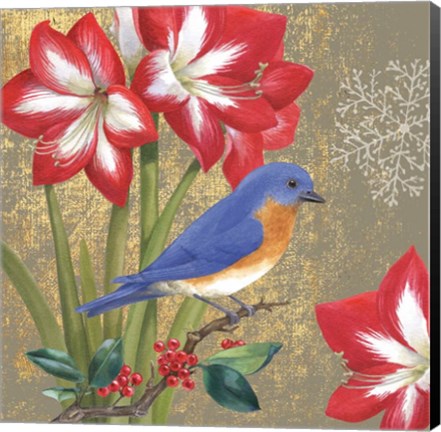 Framed Winter Birds Bluebird Print