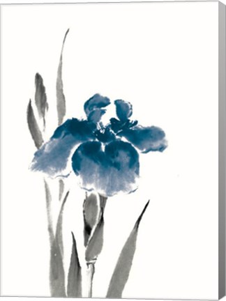 Framed Japanese Iris III Crop Indigo Print