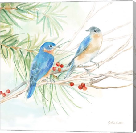 Framed Winter Birds III Bluebirds Print
