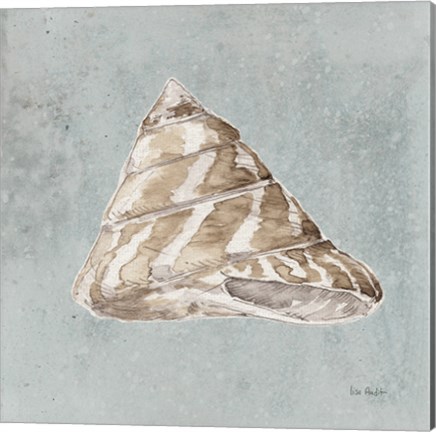Framed Sand and Seashells IV Print