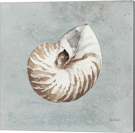 Framed Sand and Seashells I Print