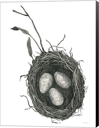 Framed Springtime Nest III Print