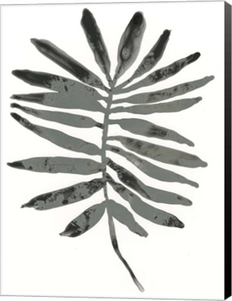 Framed Foliage Fossil VII Print