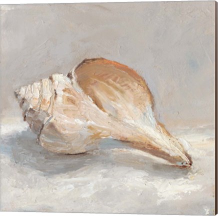 Framed Impressionist Shell Study III Print