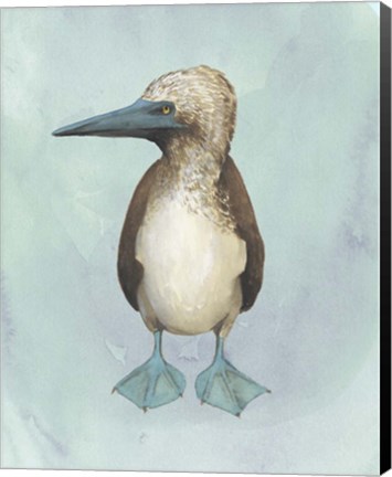 Framed Watercolor Beach Bird I Print