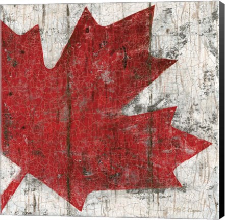 Framed Canada Maple Leaf II Print