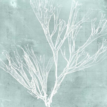 Framed Seaweed on Aqua VII Print