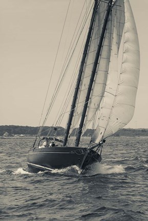 Framed Single Schooner In Cape Ann, Massachusetts (BW) Print