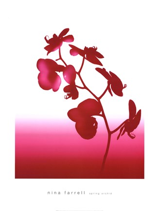 Framed Spring Orchid Print
