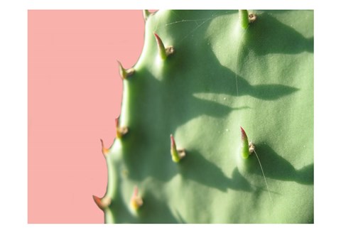 Framed Cactus Flat Print