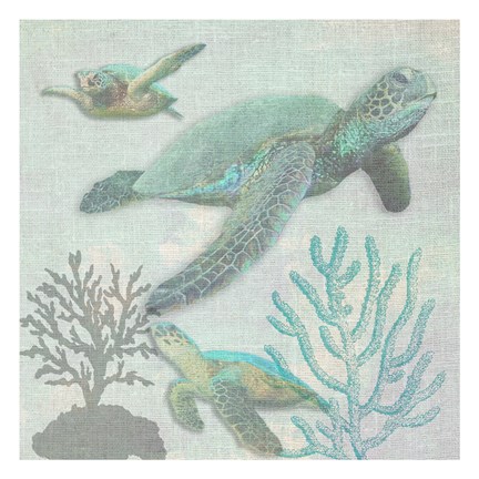 Framed Turtles 2 Print