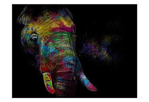 Framed Kaleidoscope Elephant Print