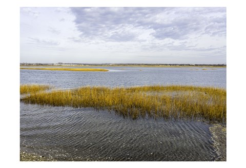 Framed Winter Marsh Print