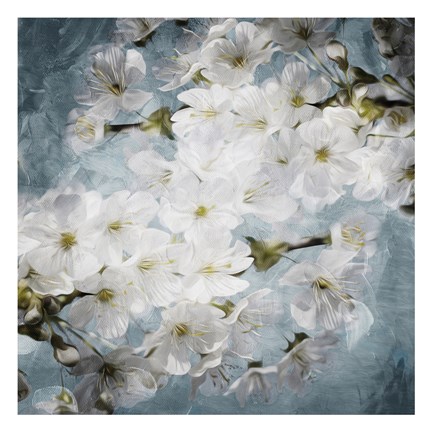 Framed White Flowers With Blue Print