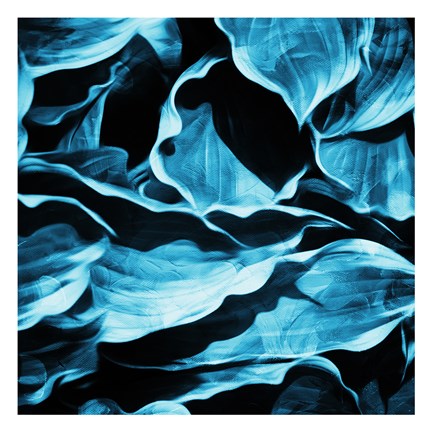 Framed Blue Hue Leaves Print