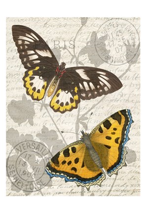 Framed Butterfly Travel 1 Print