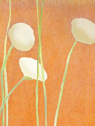 Framed Cream Flowers on Orange Print