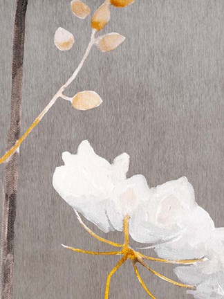 Framed White Flower on Medium Gray Print