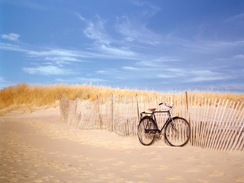 Framed Cape Cod Print