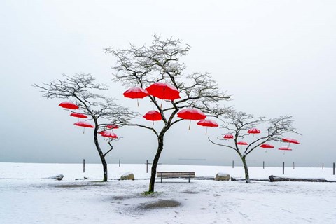 Framed Red Umbrellas Print