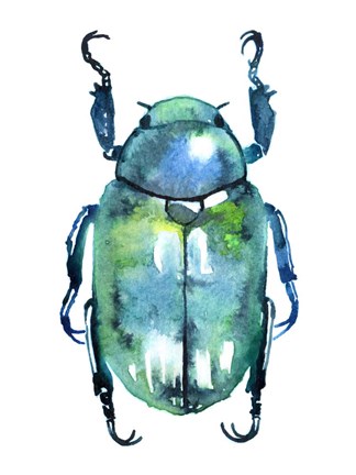 Framed Chromatic Blue Beetle Print