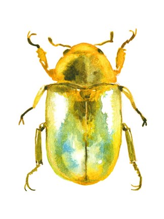 Framed Golden Beetle Print