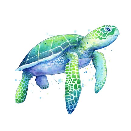 Framed Green Sea Turtle Print