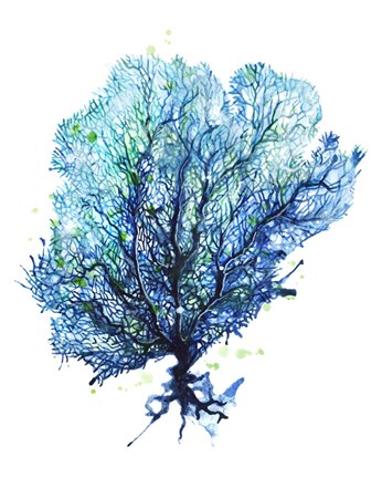 Framed Sea Fan - Aqua Print