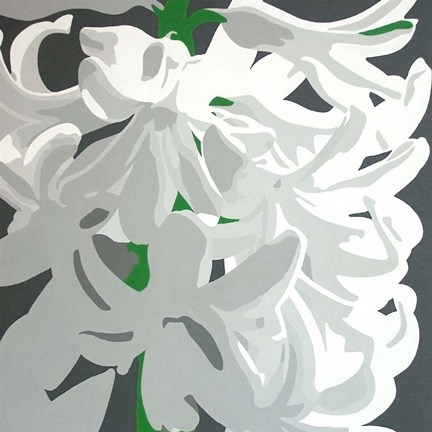 Framed White Hyacinth Print
