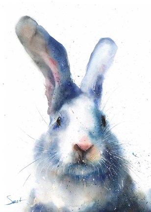 Framed White Rabbit Print