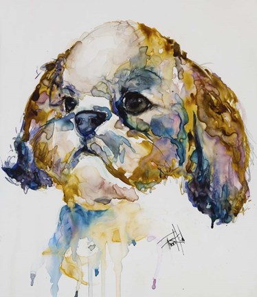 Framed Shih Tzu Print